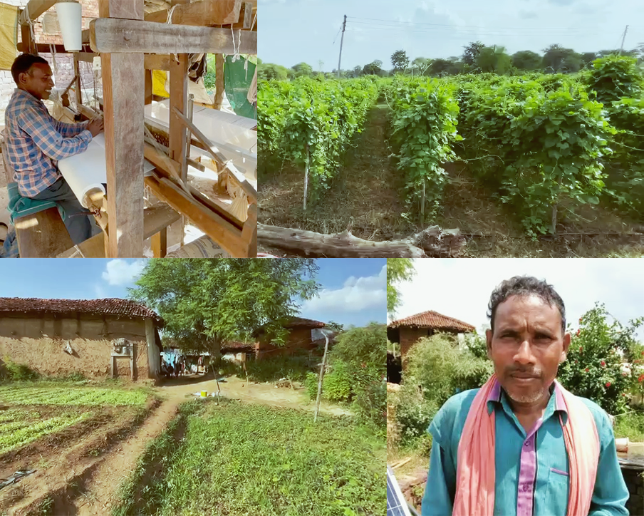 Collage of an Indian farm and his farm